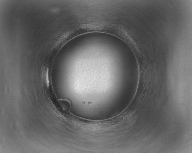 X0000052550020200507081621