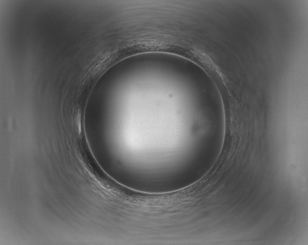 X0000052550021200507081621