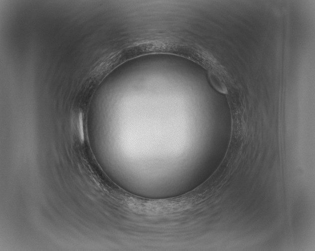 X0000052550022200507081621