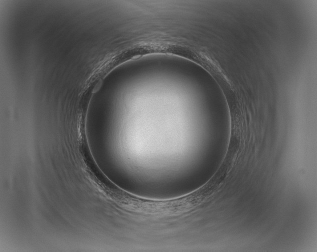 X0000052550023200507081621