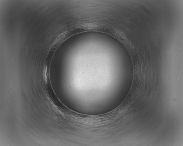 X0000052550024200507081621