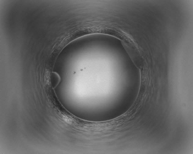 X0000052550025200507081621