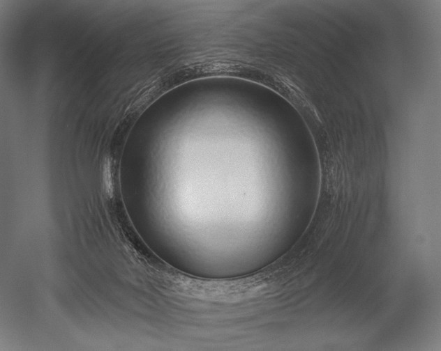 X0000052550026200507081621