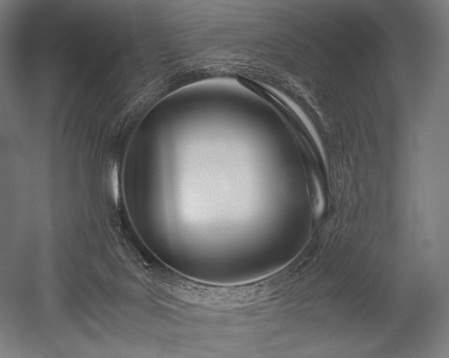 X0000052550027200507081621