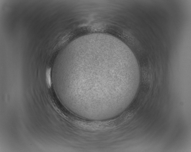 X0000052550028200507081621