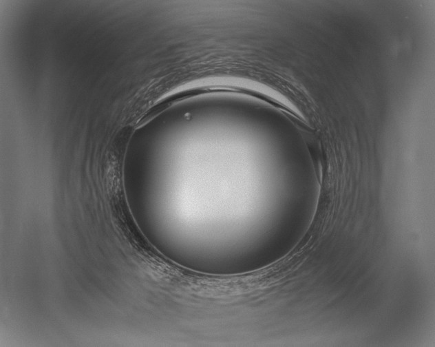 X0000052550029200507081621