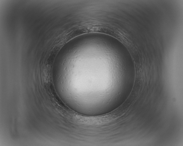 X0000052550030200507081621