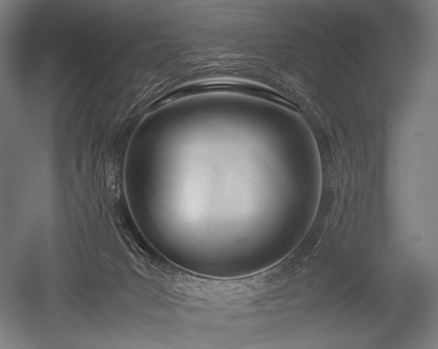 X0000052550031200507081621