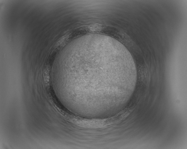 X0000052550032200507081621