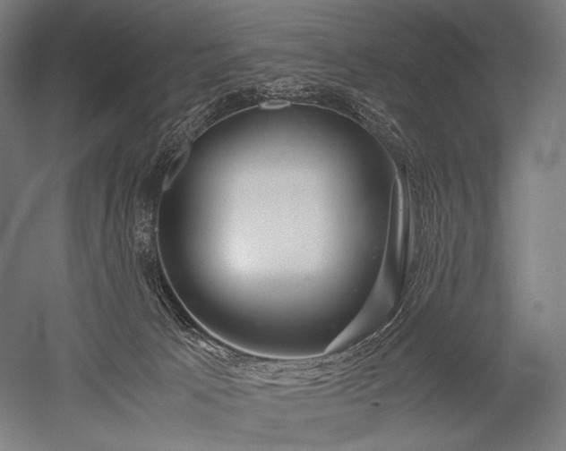 X0000052550033200507081621