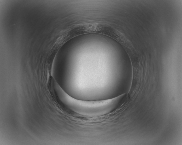 X0000052550035200507081621