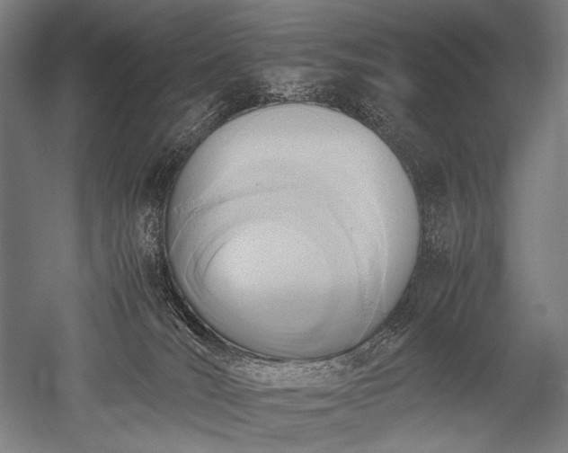 X0000052550036200507081621