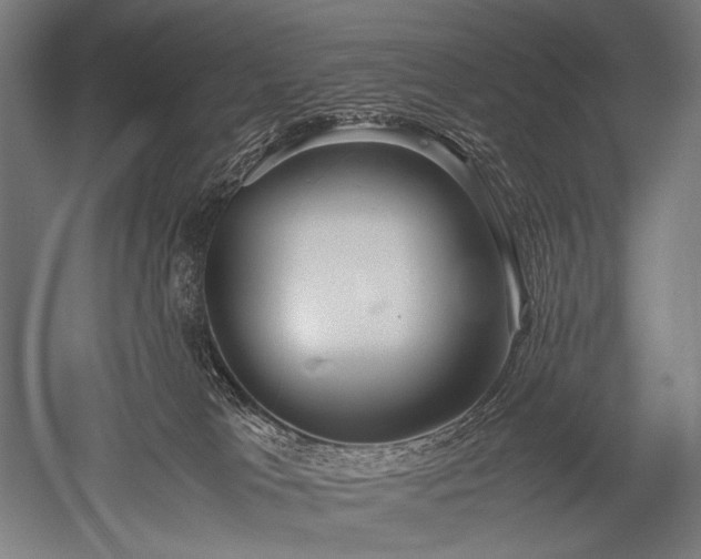 X0000052550037200507081621