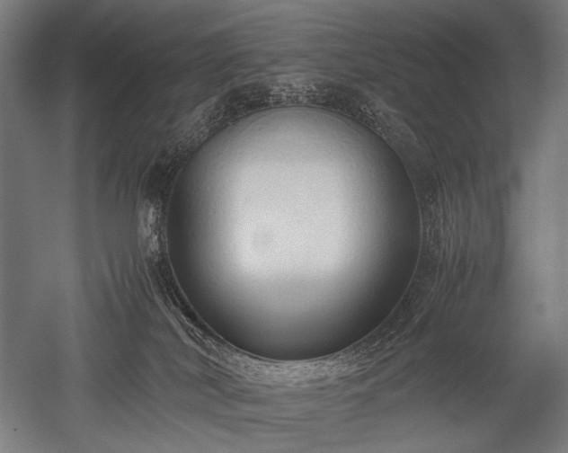 X0000052550038200507081621