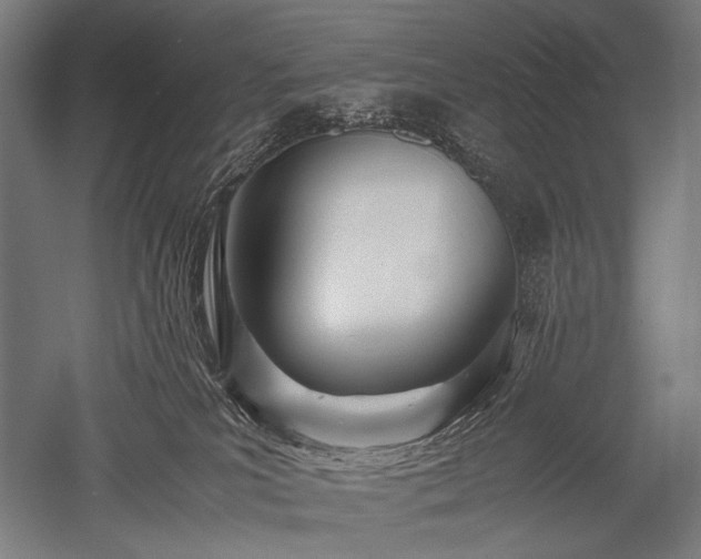 X0000052550039200507081621