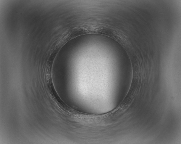 X0000052550040200507081621