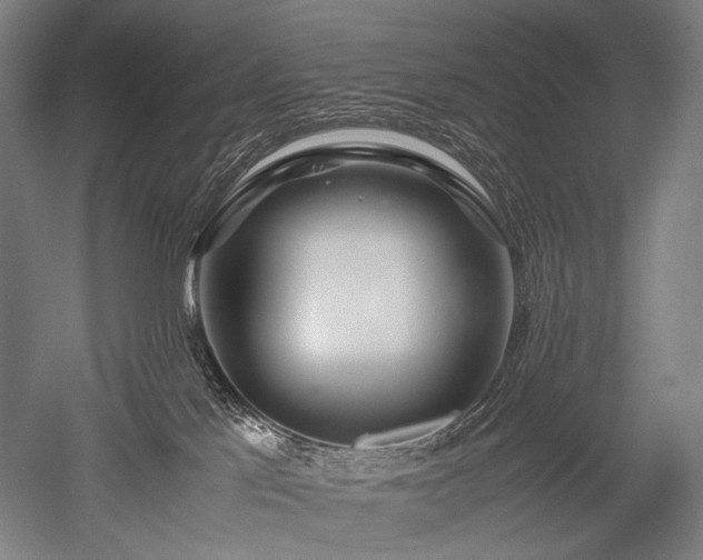 X0000052550041200507081621