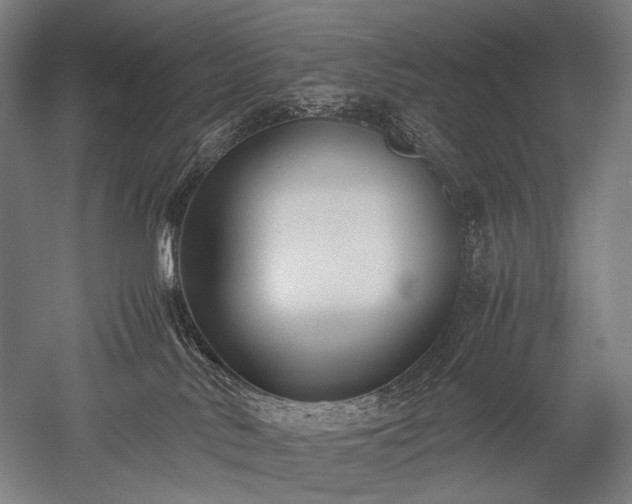 X0000052550042200507081621