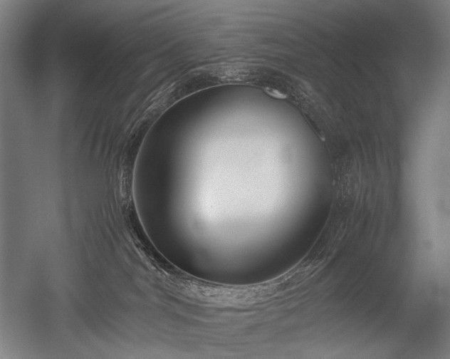 X0000052550044200507081621