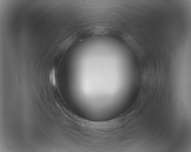 X0000052550046200507081621