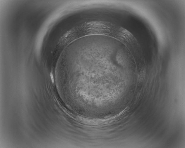 X0000052550047200507081621