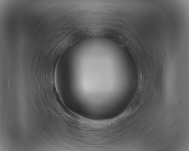 X0000052550048200507081621