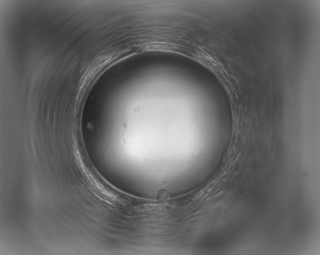 X0000052550049200507081620