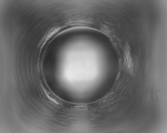 X0000052550050200507081620