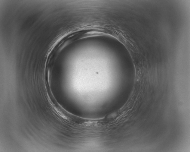 X0000052550052200507081620