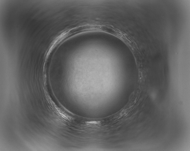 X0000052550053200507081620