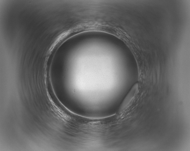 X0000052550054200507081620