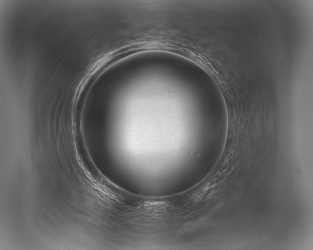 X0000052550055200507081620