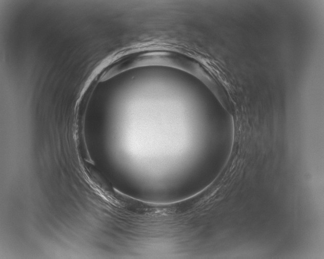 X0000052550056200507081620