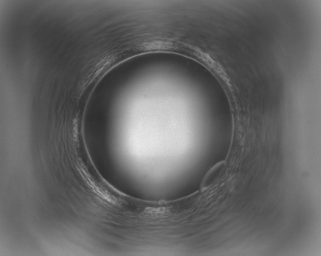 X0000052550057200507081620