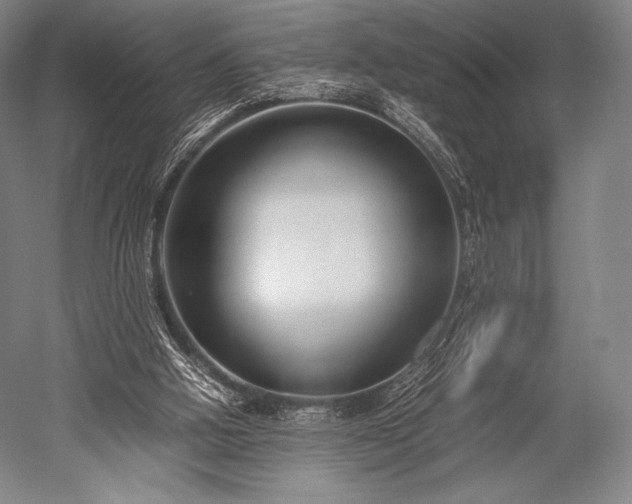 X0000052550058200507081620