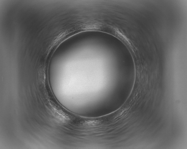 X0000052550059200507081620