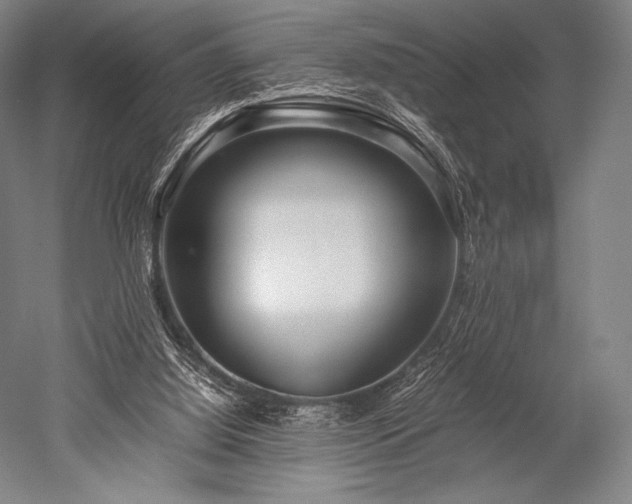 X0000052550060200507081620