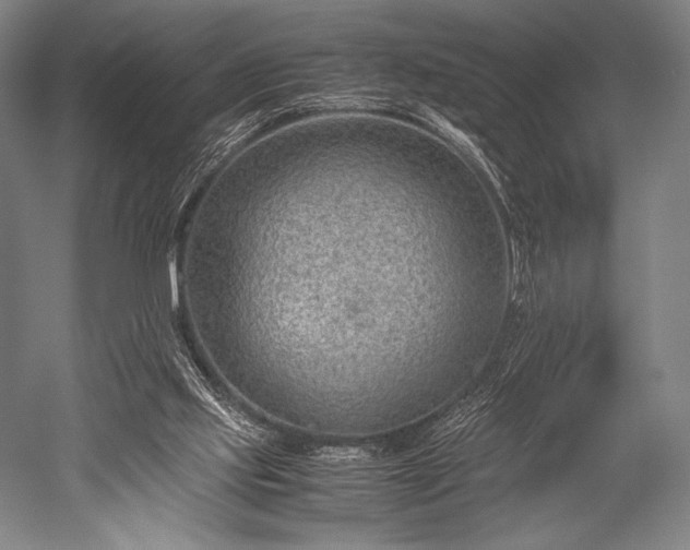 X0000052550061200507081620