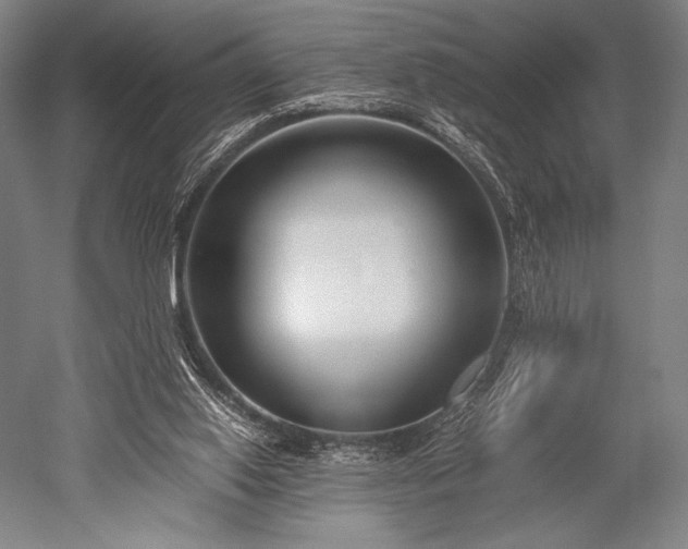 X0000052550062200507081620