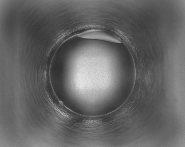 X0000052550063200507081620