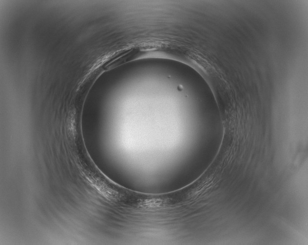 X0000052550064200507081620