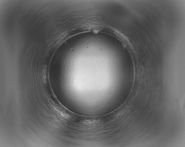 X0000052550065200507081620