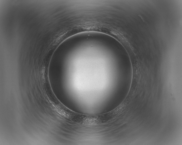 X0000052550066200507081620