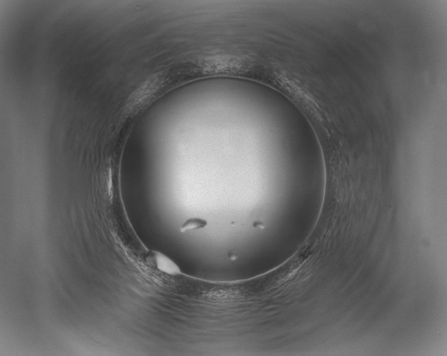 X0000052550067200507081620