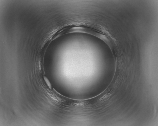 X0000052550068200507081620