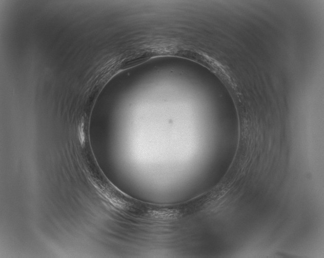 X0000052550069200507081620