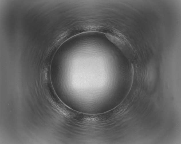 X0000052550071200507081620