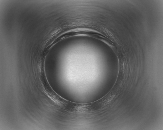 X0000052550072200507081620