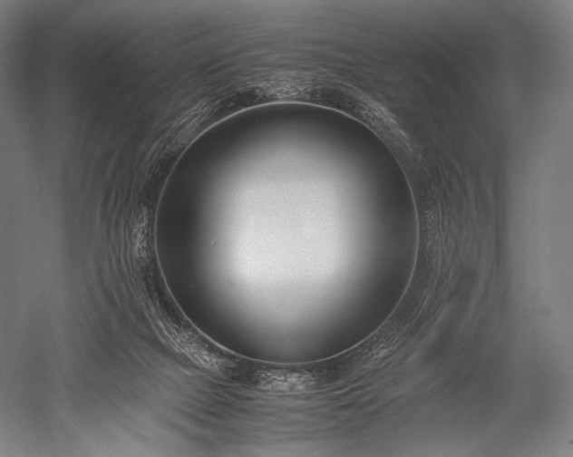 X0000052550073200507081620