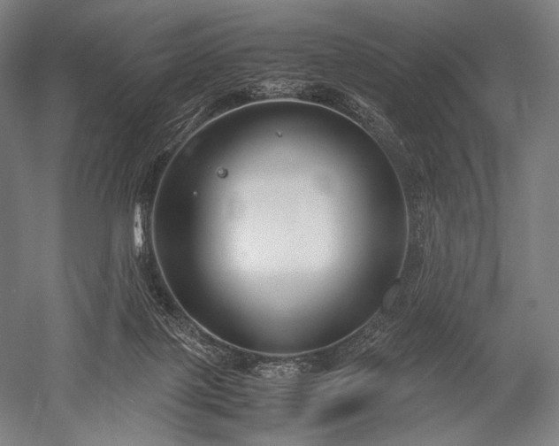 X0000052550075200507081620